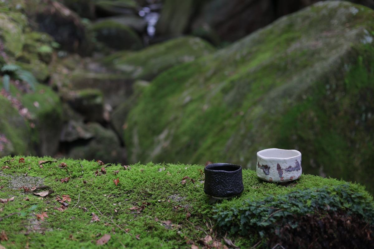苔むした岩の上に置いた瀬戸黒茶碗と志野茶碗(加藤尊也)